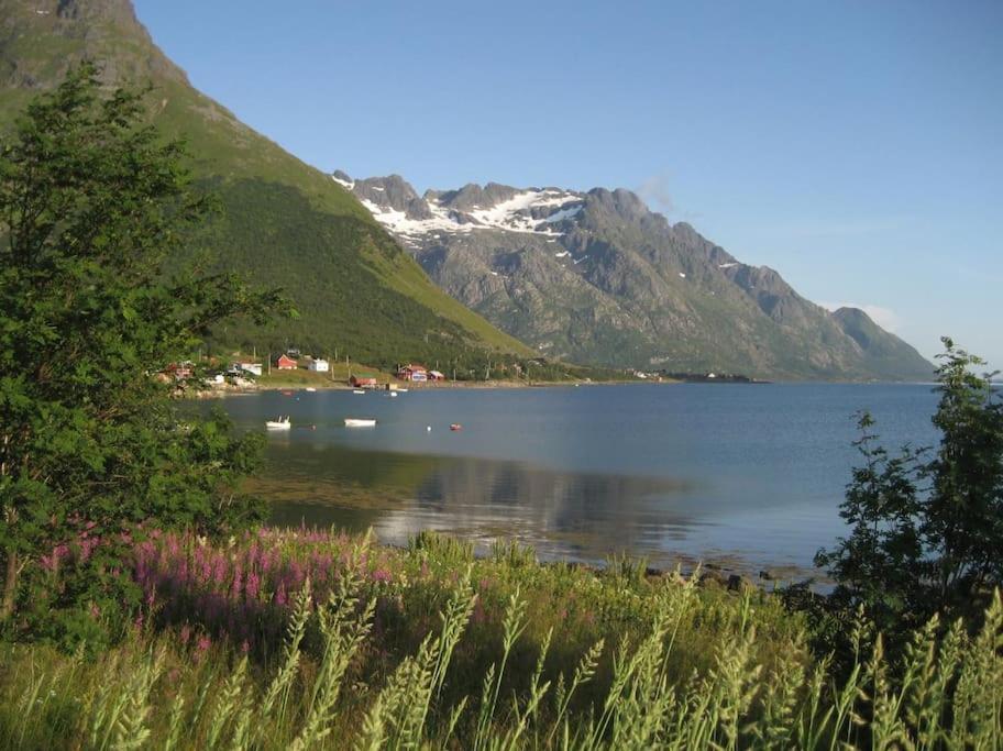 Charming House By The Sea, Lofoten! Laupstad Zewnętrze zdjęcie